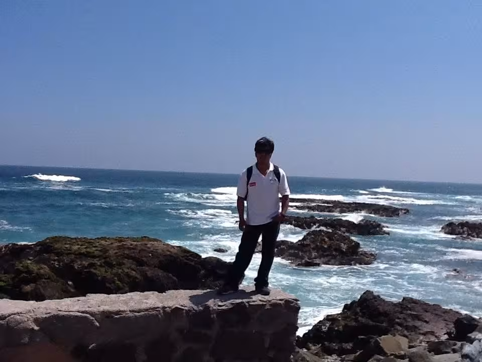 Bearsunny796