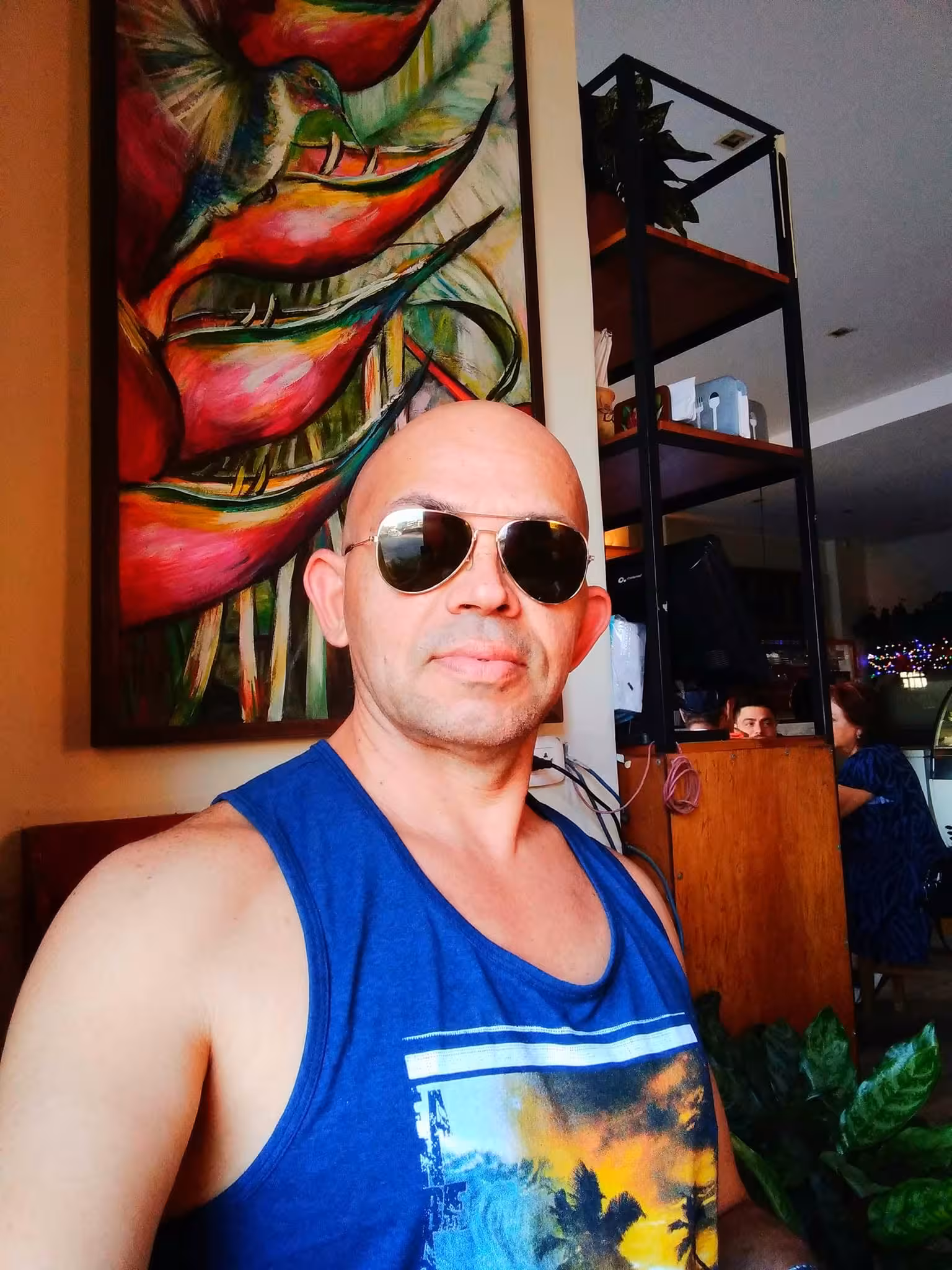 vibeforex6149